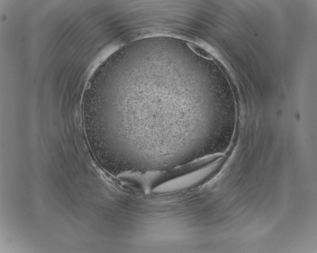 X0000074041145200609111732