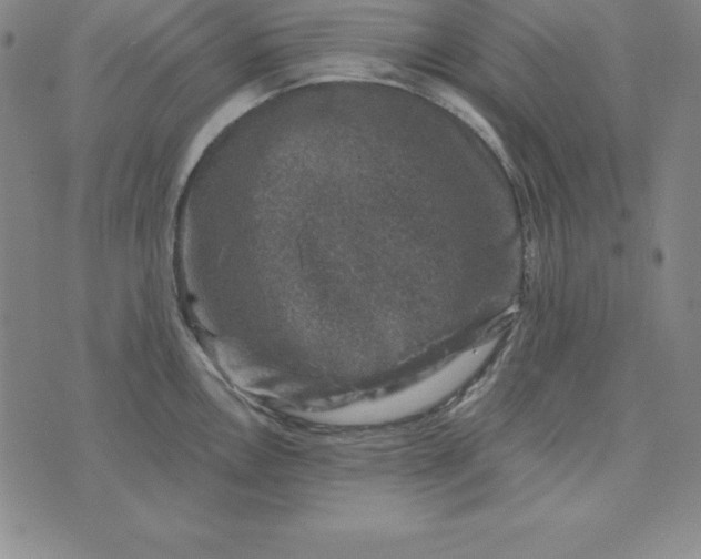 X0000074041146200609111732