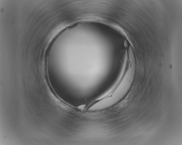 X0000074041147200609111732