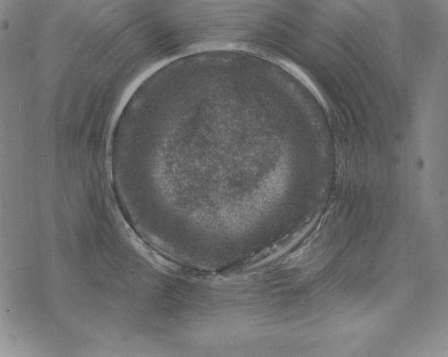 X0000074041148200609111733