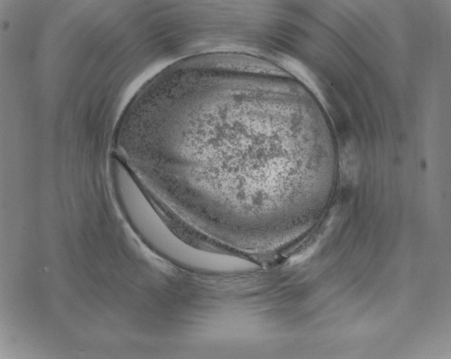 X0000074041149200609111733