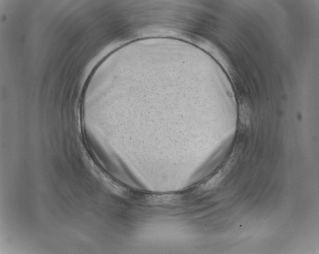 X0000074041150200609111733