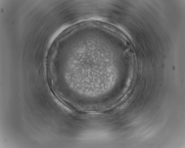 X0000074041151200609111733