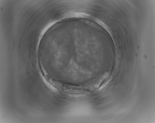 X0000074041152200609111733