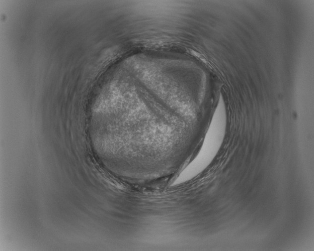 X0000074041153200609111732