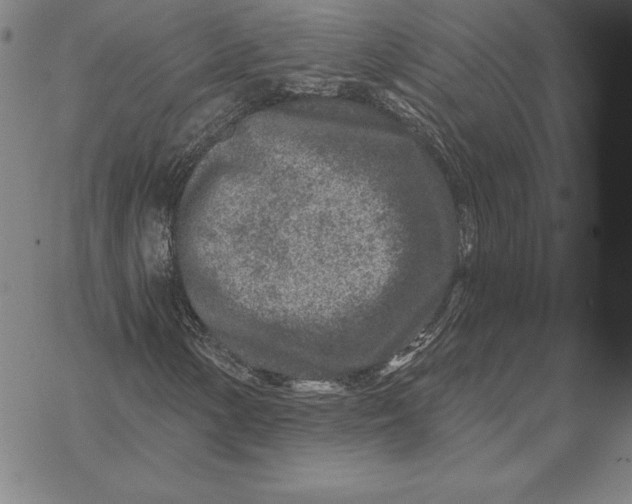 X0000074041154200609111732