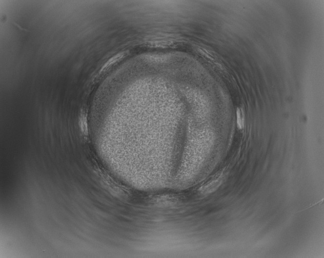 X0000074041155200609111732