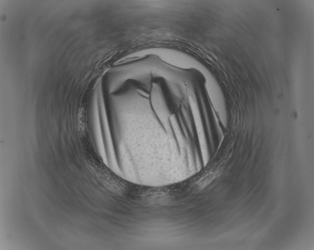 X0000074041156200609111732