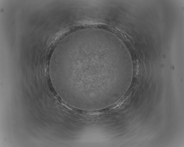 X0000074041157200609111732