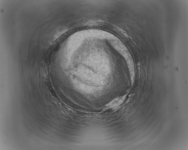 X0000074041158200609111732