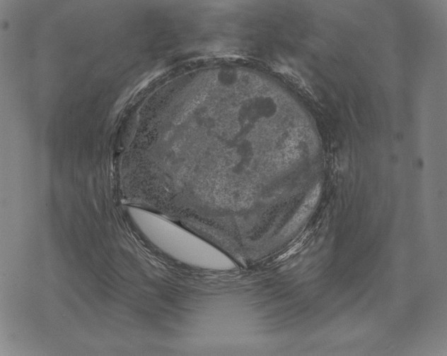 X0000074041159200609111732