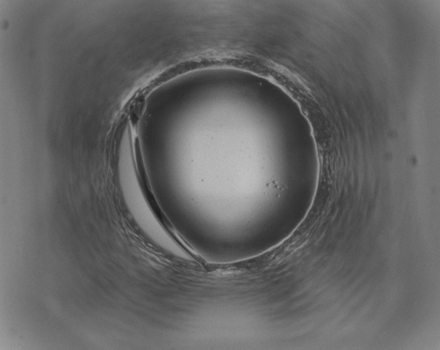 X0000074041160200609111732