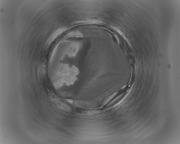 X0000074041163200609111732