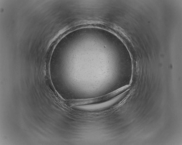 X0000074041165200609111732