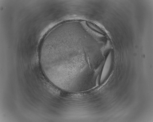 X0000074041167200609111732