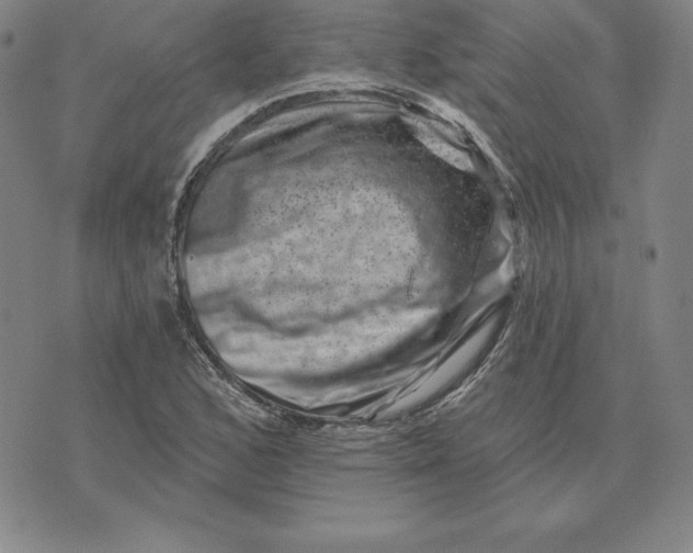 X0000074041168200609111732