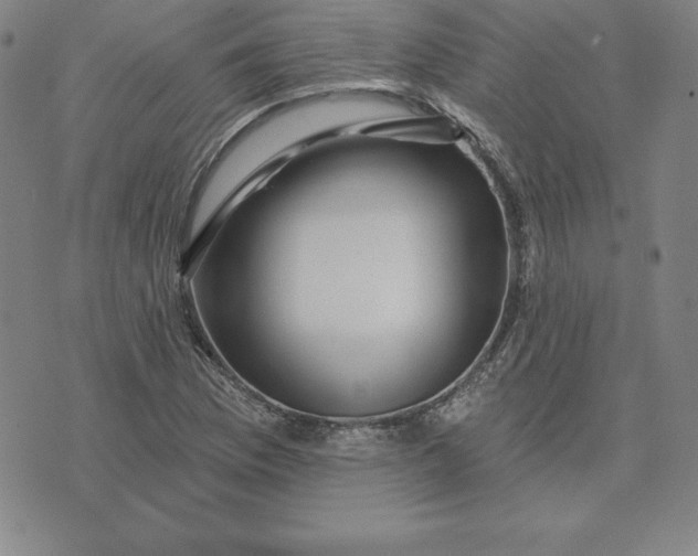 X0000074041169200609111732