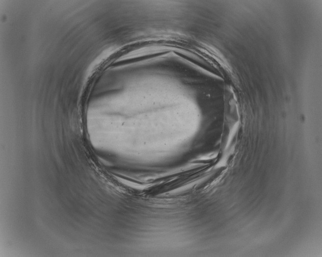 X0000074041172200609111731