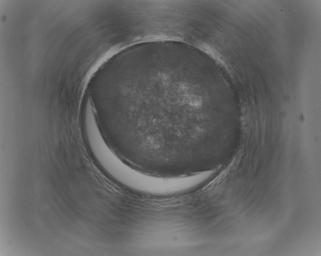 X0000074041173200609111731