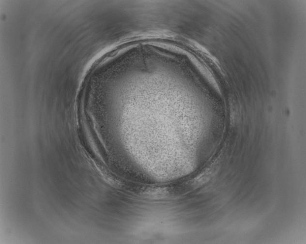 X0000074041174200609111731