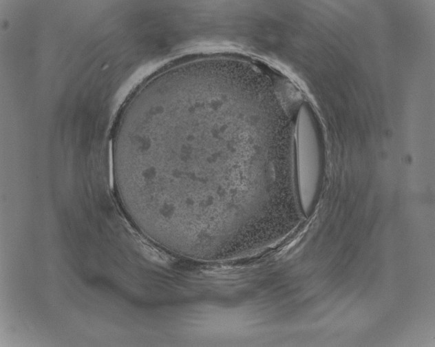 X0000074041175200609111731