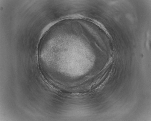 X0000074041176200609111731