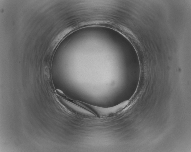 X0000074041177200609111731