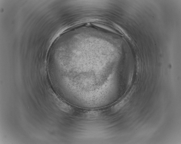 X0000074041178200609111731