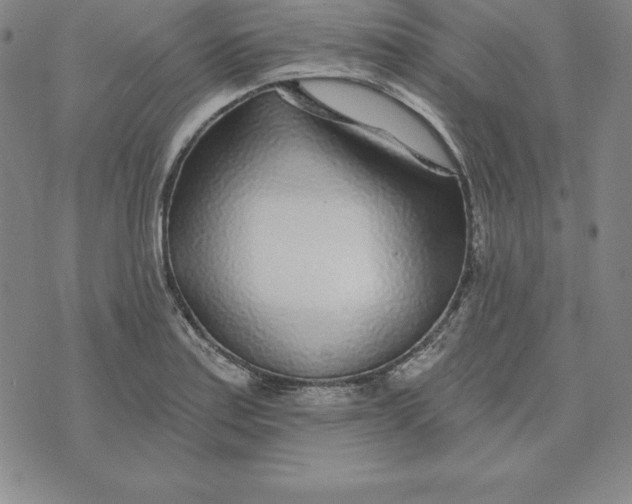 X0000074041179200609111731