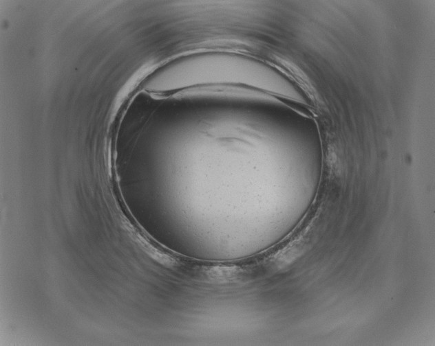 X0000074041180200609111731