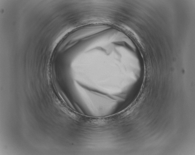 X0000074041182200609111731