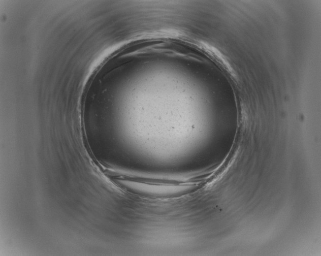 X0000074041184200609111731