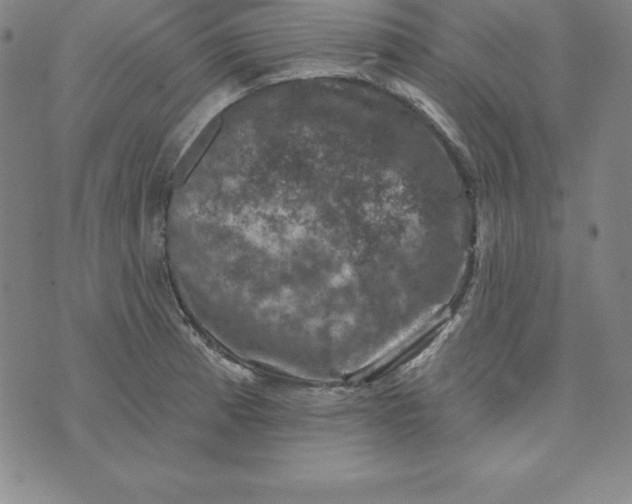 X0000074041185200609111731