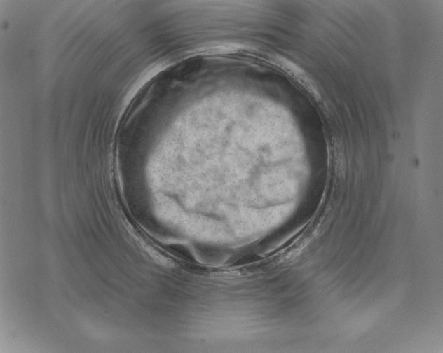 X0000074041186200609111731