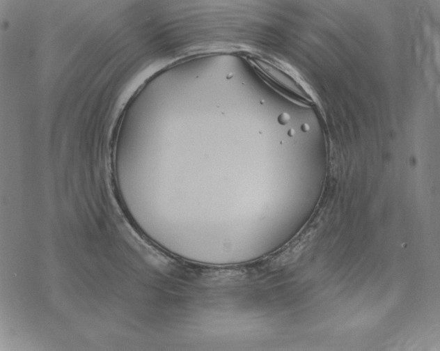 X0000074041187200609111731