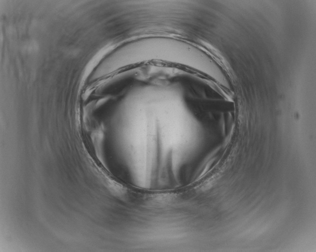 X0000074041188200609111731