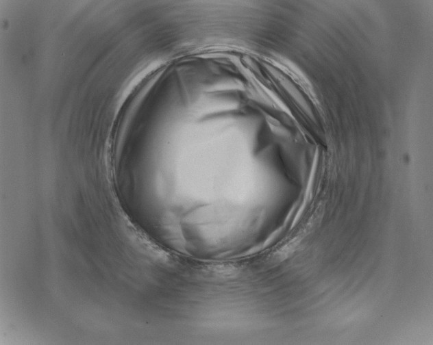 X0000074041190200609111731