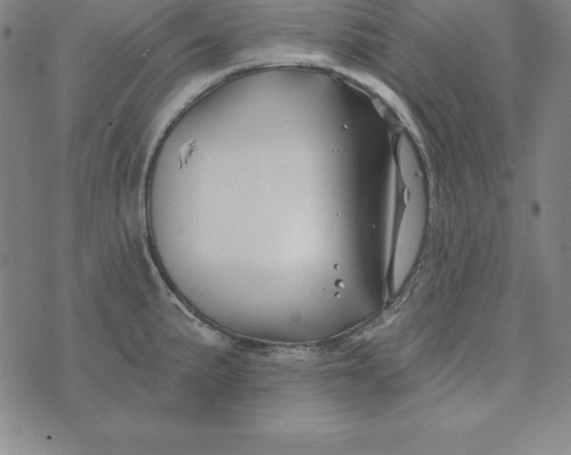 X0000074041191200609111731