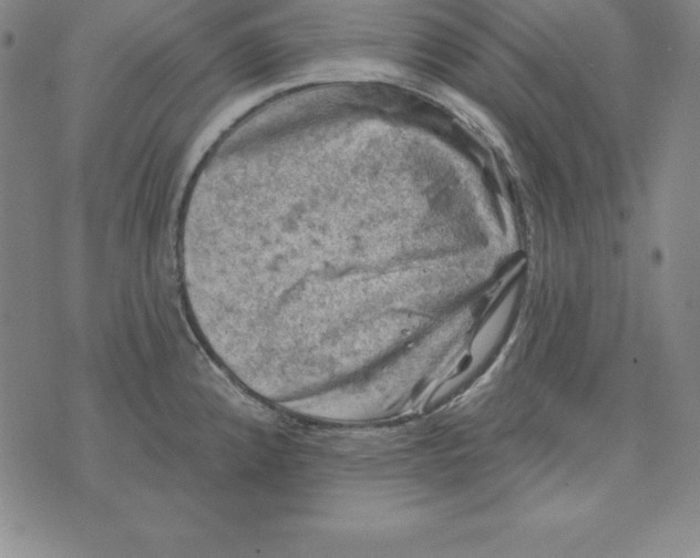 X0000074041192200609111731