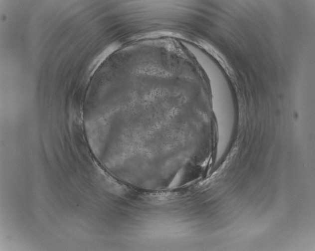 X0000074041193200609111731