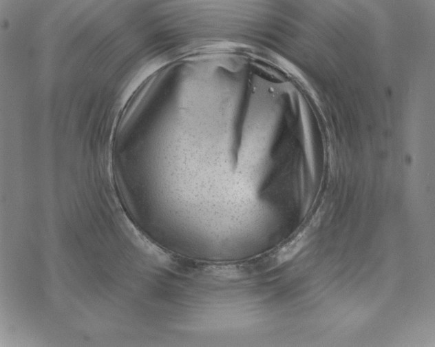 X0000074041194200609111731