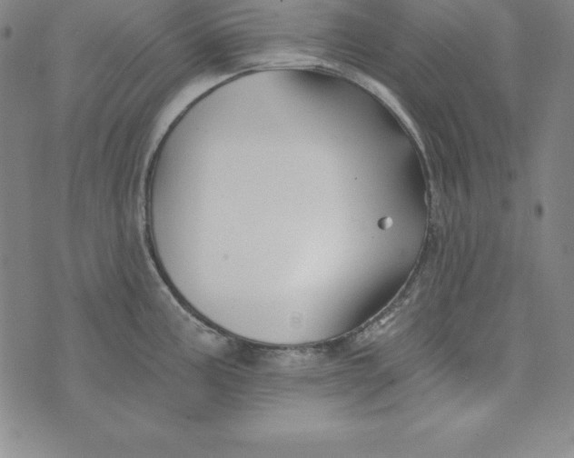 X0000074041195200609111731