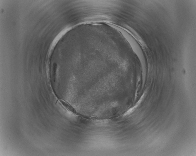 X0000074041196200609111731