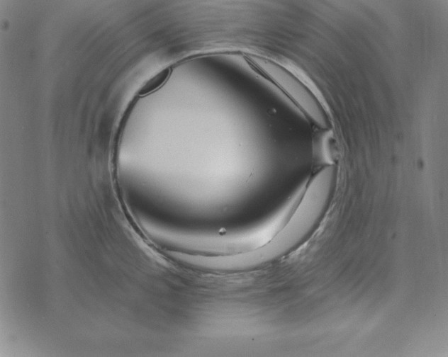 X0000074041197200609111731