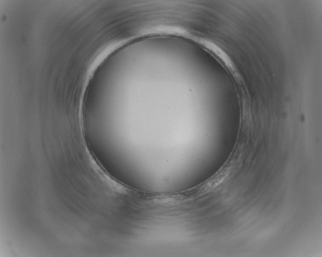 X0000074041199200609111731