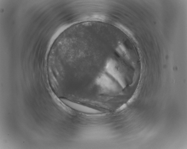 X0000074041200200609111731