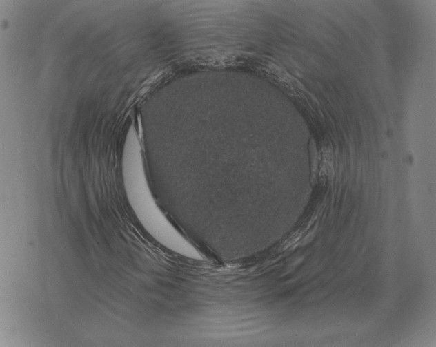 X0000074041202200609111730