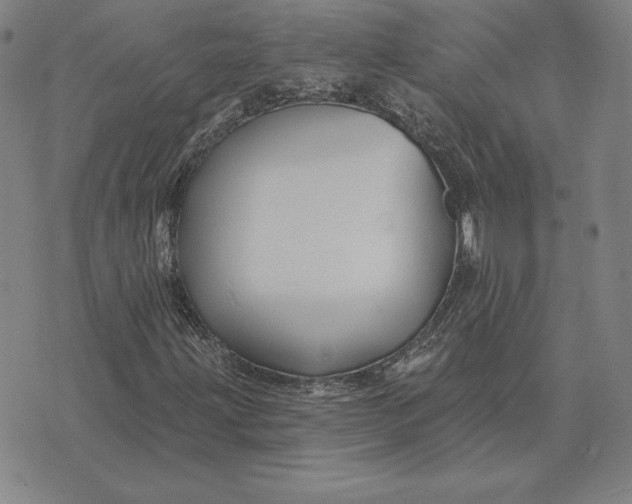 X0000074041203200609111730