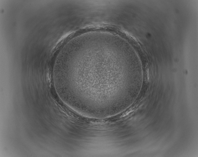 X0000074041206200609111730