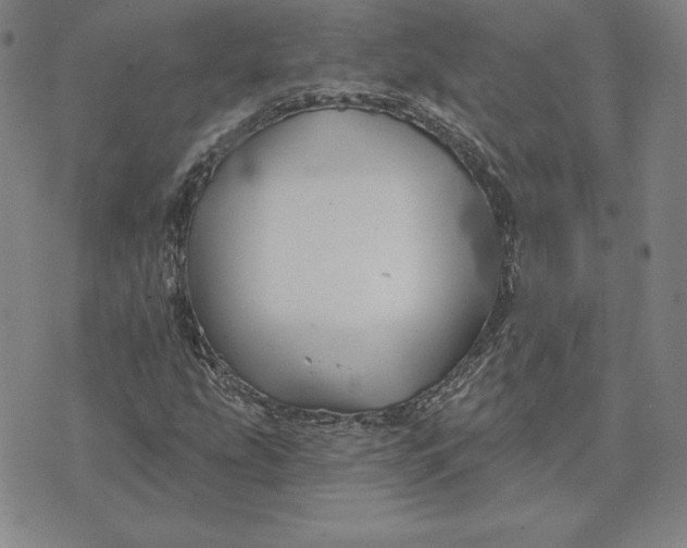 X0000074041207200609111730